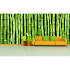IMPAR Fototapeta na zeď Zelený bambus (Rozměr : 252 x 126)