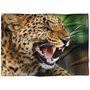 IMPAR Fleecová deka Řev geparda 150x120 cm (Rozměr : 150 x 120 cm, Podšití beránkem: NE)