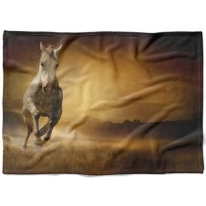 IMPAR Fleecová deka Kůň v poli 150x120 cm (Rozměr : 200 x 140 cm, Podšití beránkem: NE)