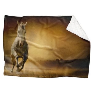 IMPAR Fleecová deka Kůň v poli 150x120 cm (Rozměr : 200 x 140 cm, Podšití beránkem: ANO)