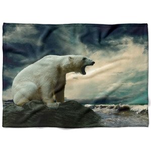 IMPAR Fleecová deka Lední medvěd 150x120 cm (Rozměr : 150 x 120 cm, Podšití beránkem: NE)