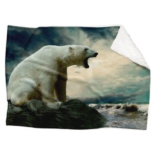 IMPAR Fleecová deka Lední medvěd 150x120 cm (Rozměr : 200 x 140 cm, Podšití beránkem: ANO)