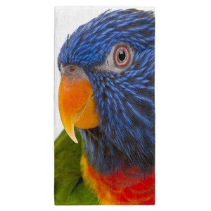 Osuška Barevný papoušek  (Velikost osušky: 100x170cm)